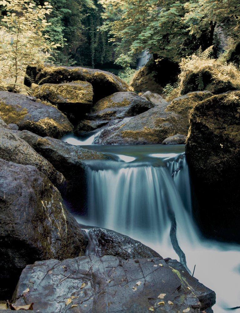 Photograph by Fayaz Bahram