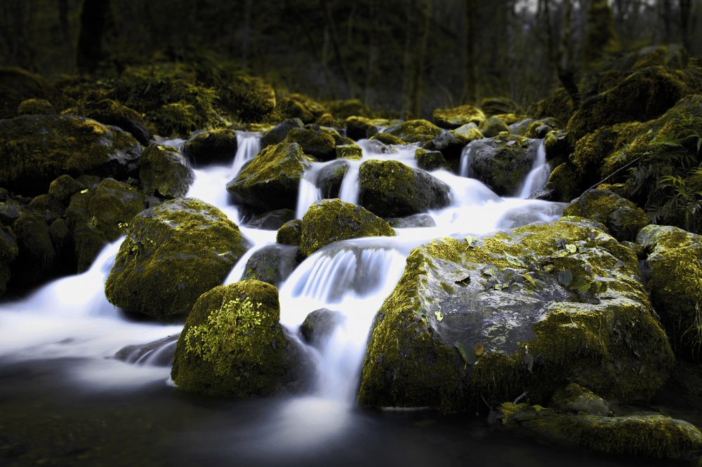 Photograph by Fayaz Bahram