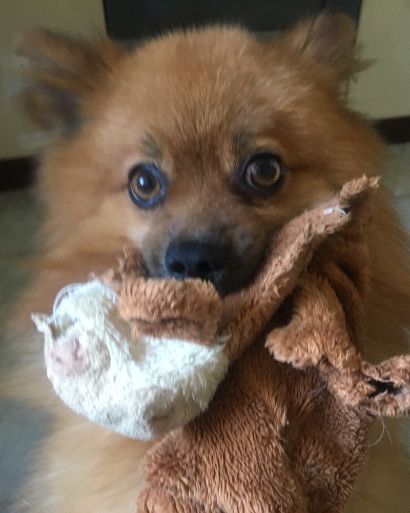 Photograph by Алексей Горшенин