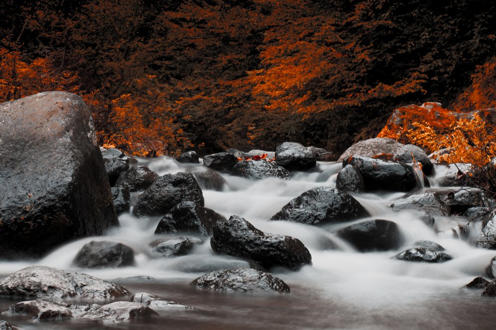 Photograph by Fayaz Bahram