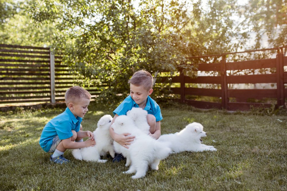 Photograph by Agne Povilaikaite