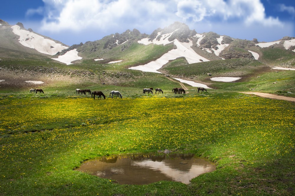Photographing the Crimea