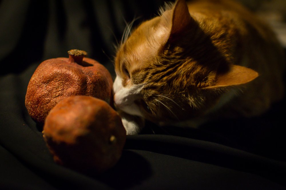 Гранатовый эксперт