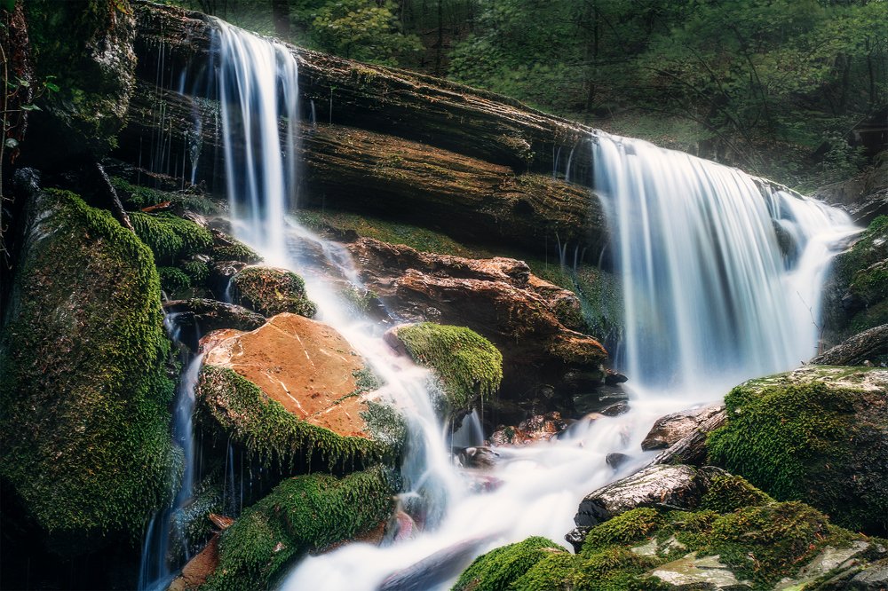 Фотография автора Marina Montale