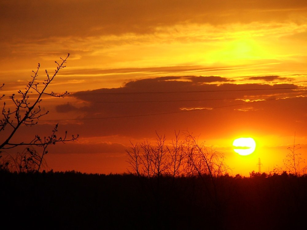 Фотография автора Владислава Андрюнина