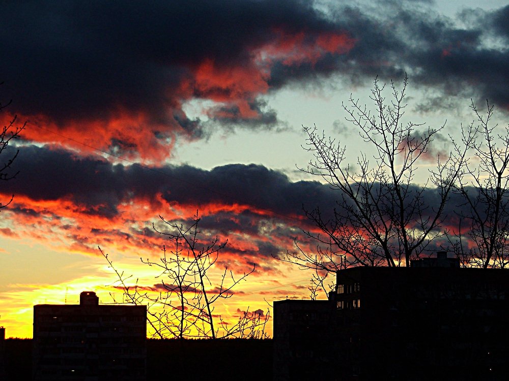 Фотография автора Владислава Андрюнина