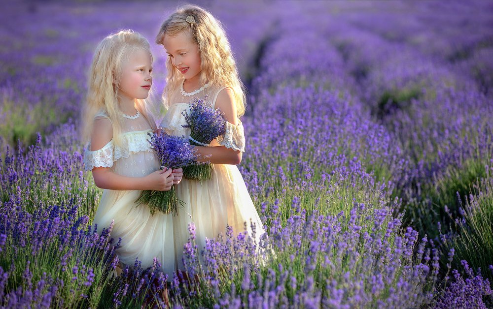 Сестренки в лаванде