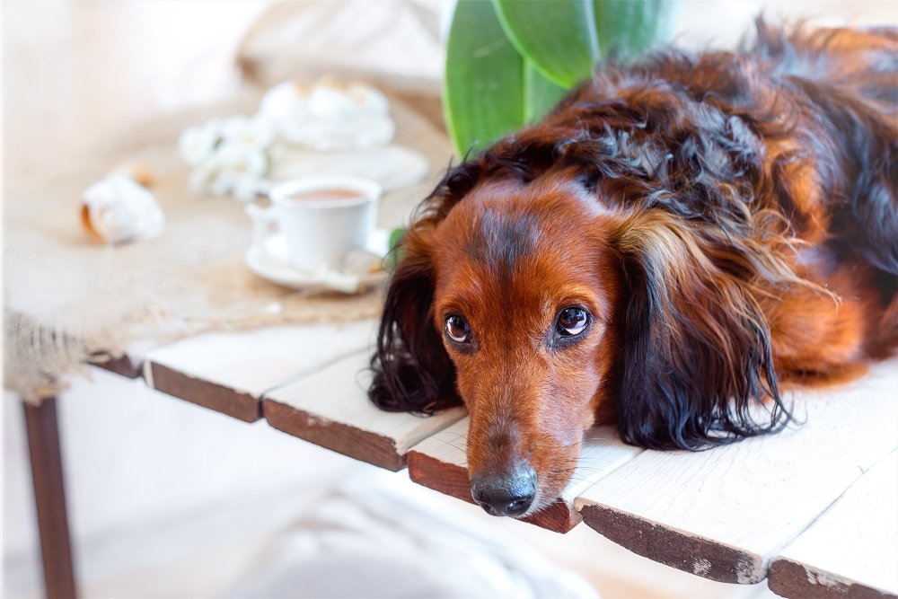 Фотография автора Marina Montale