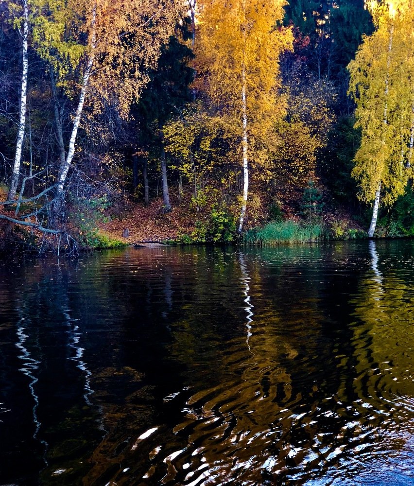 Photograph by Искандар Газизов