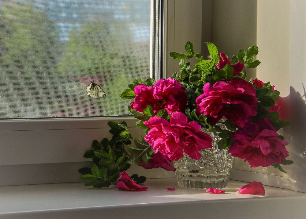 июньский вечер...