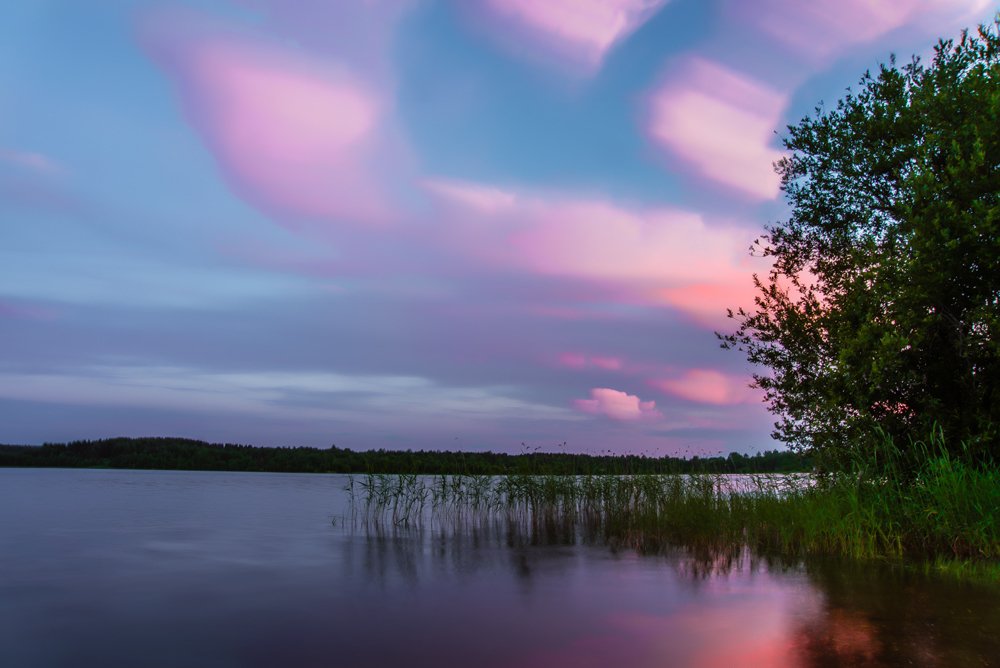 Сладкая вата