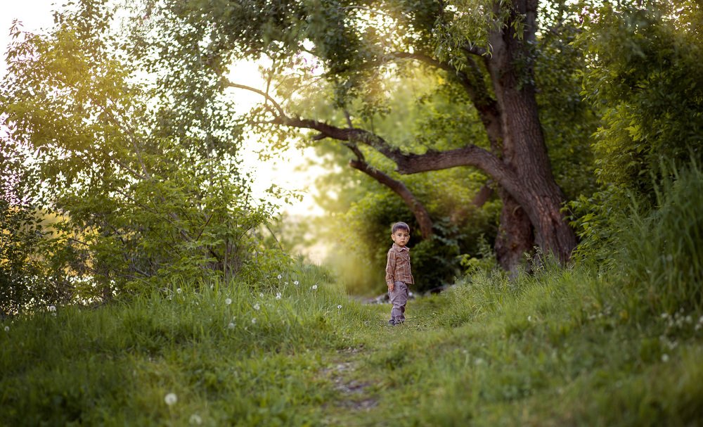 Когда деревья были большими