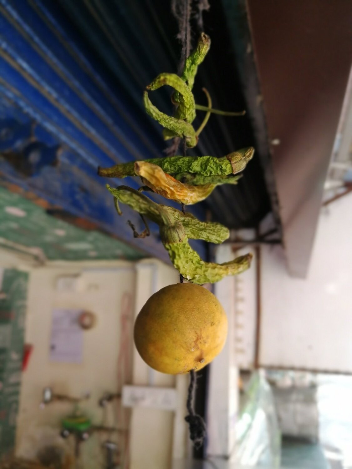 Lemon photography
