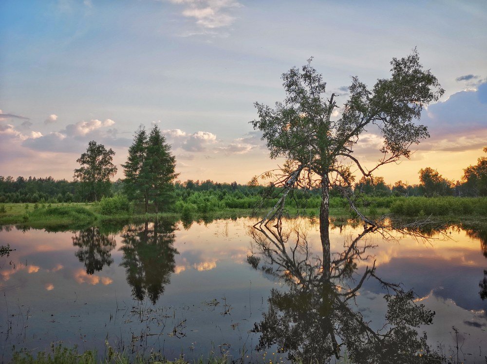 Photograph by Сергей Марценович