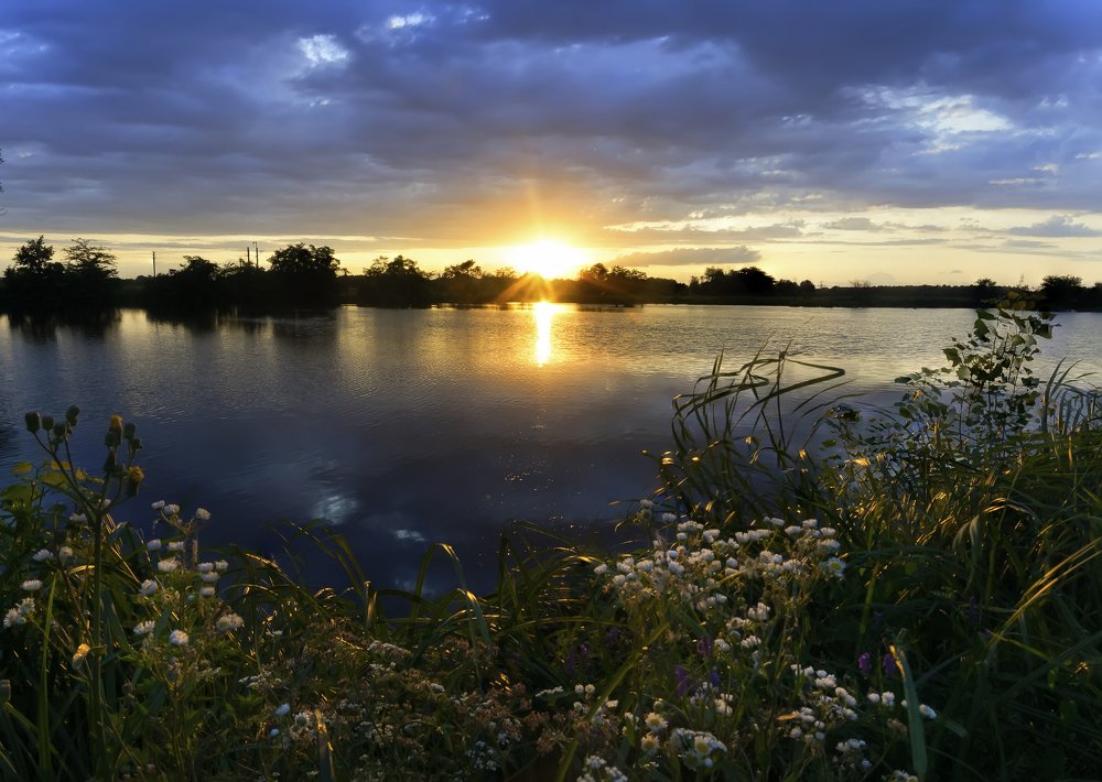 Свет надежды