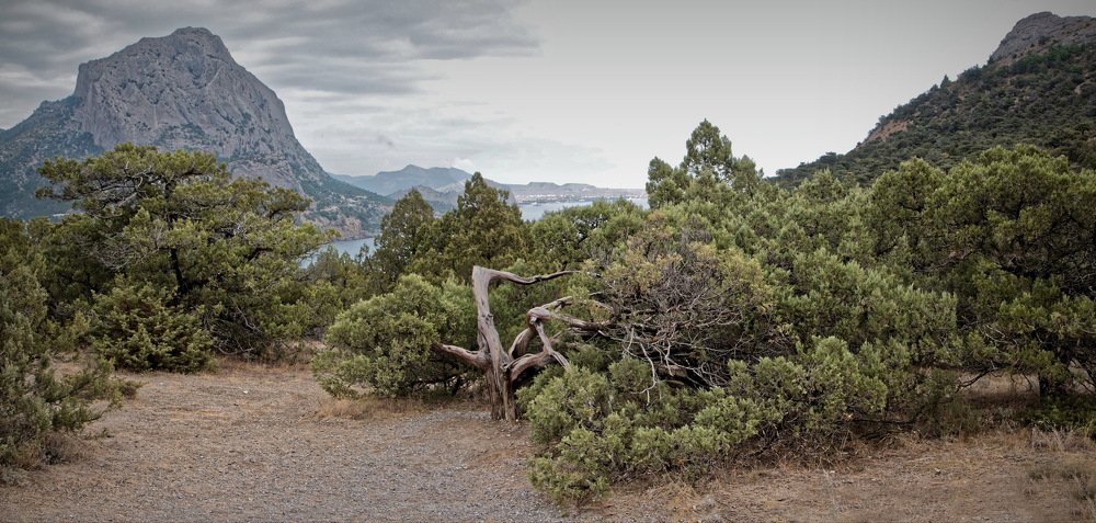 Крымские пейзажи.