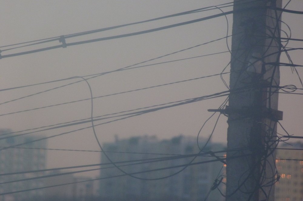Photo #3351425