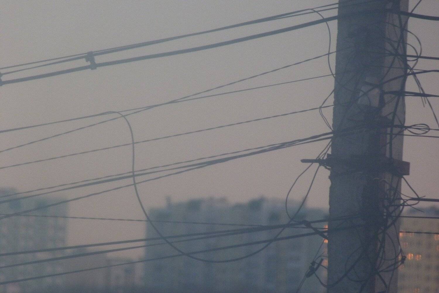 Photo #3351425