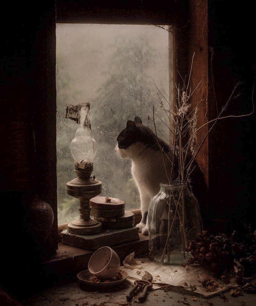 И лампа не горит...