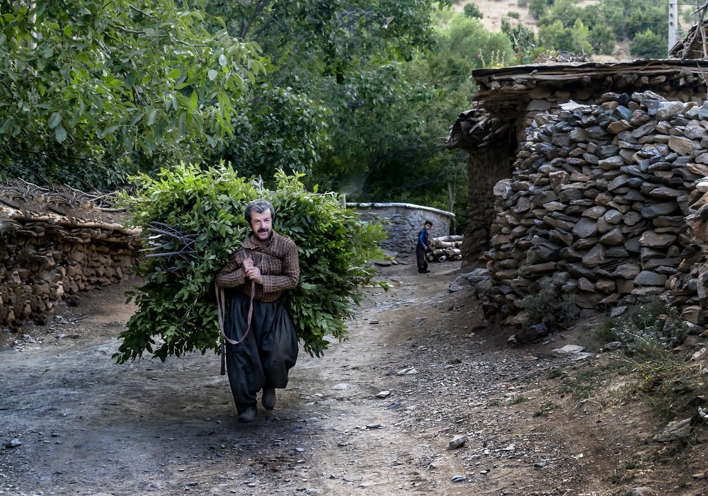 Фотография автора ziba alirezaei58