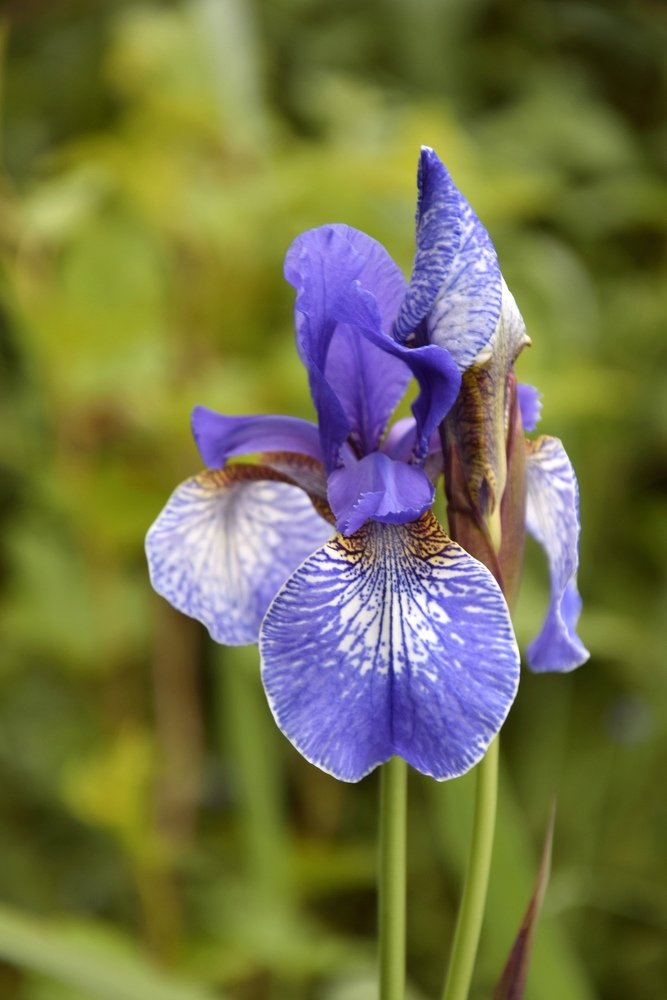 Photograph by Никита Николаевич Данилов