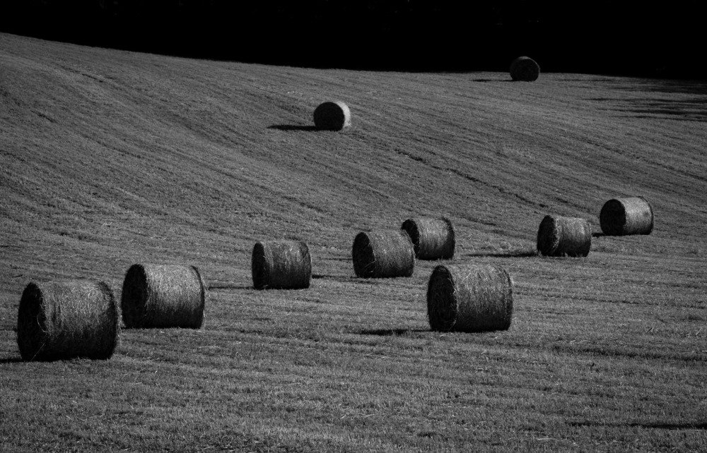 Photograph by Cristina Vicente