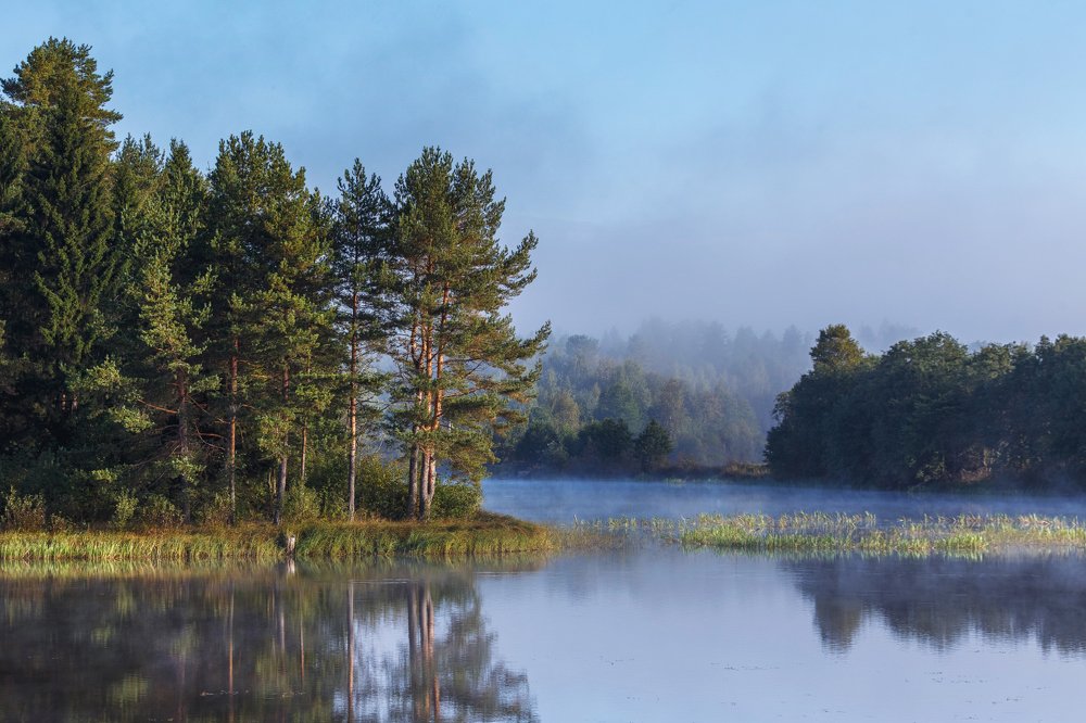 Осеннее утро