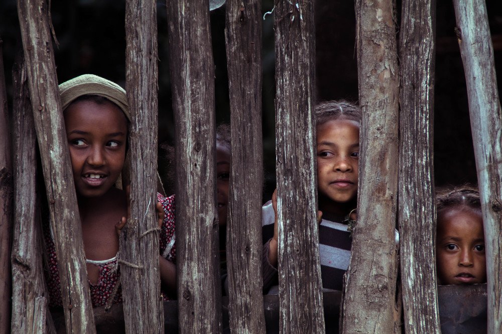 In between the fences