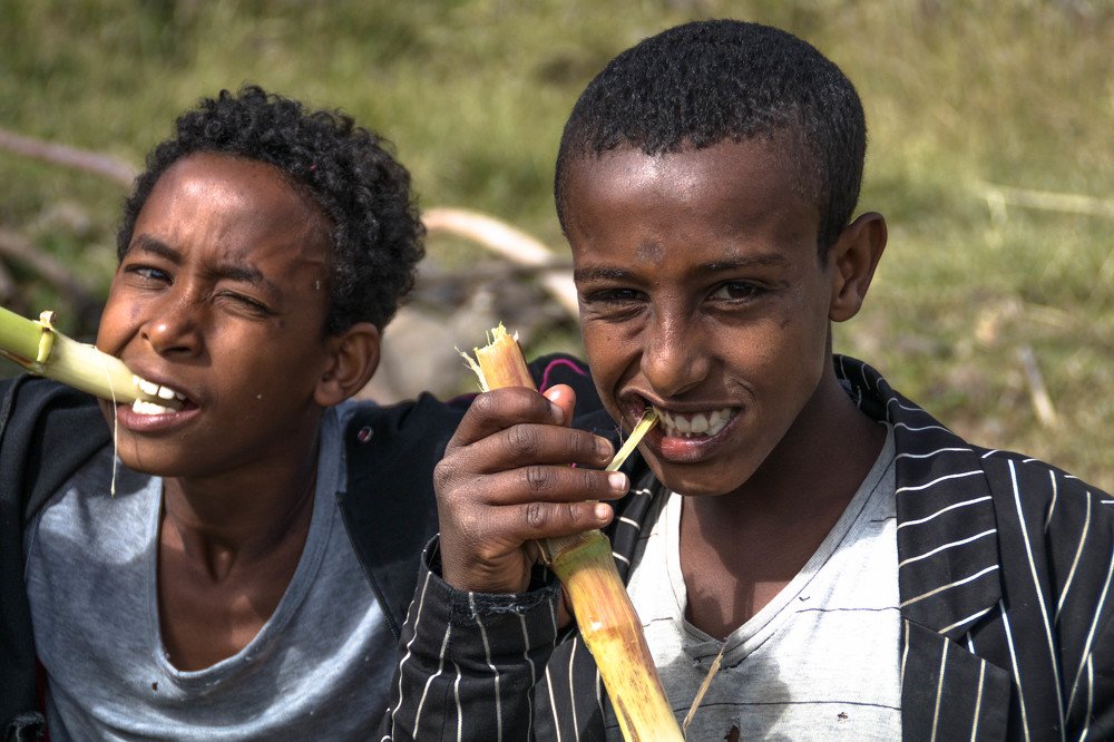 Shinkura on a Sunday