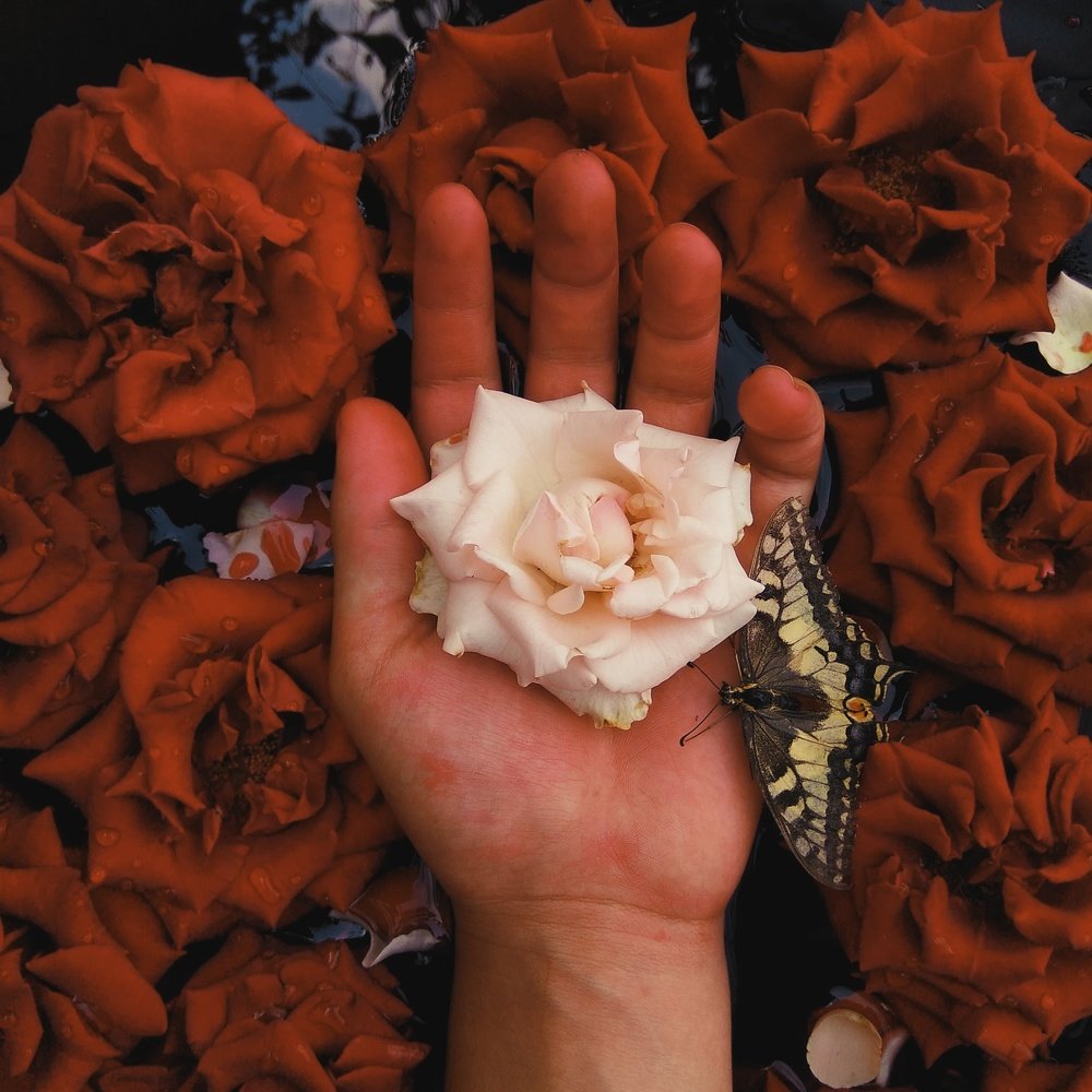 Бордовая боль