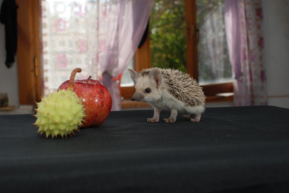 Photograph by Михаил Васильченко