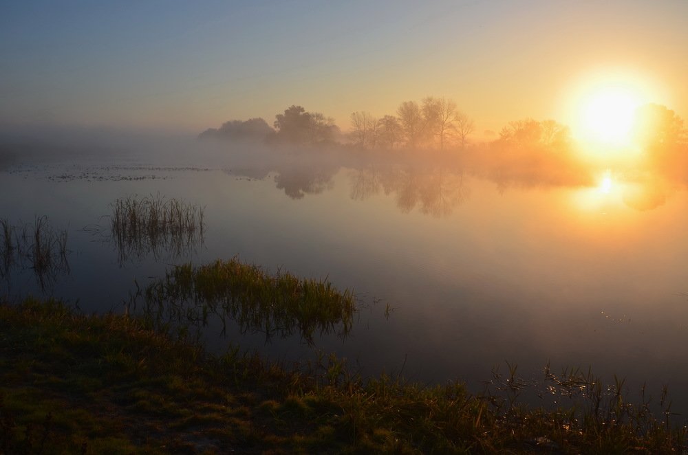 Утро  туманное