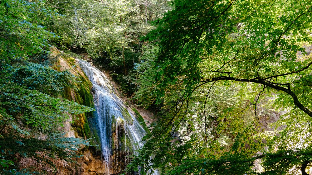 Созвучие листвы и воды