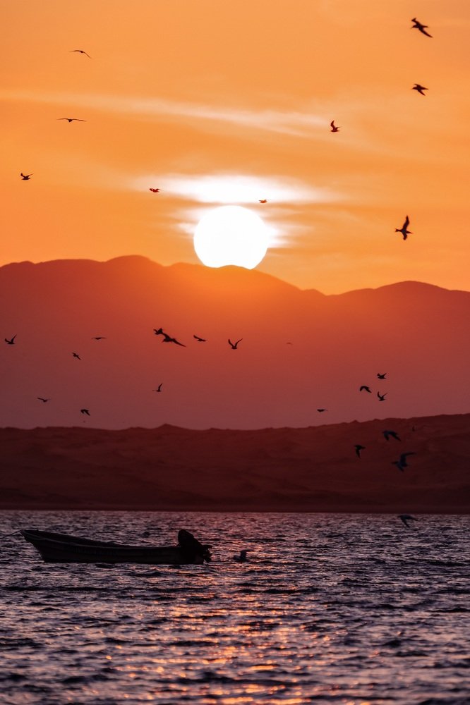 Photograph by Olga Thomas