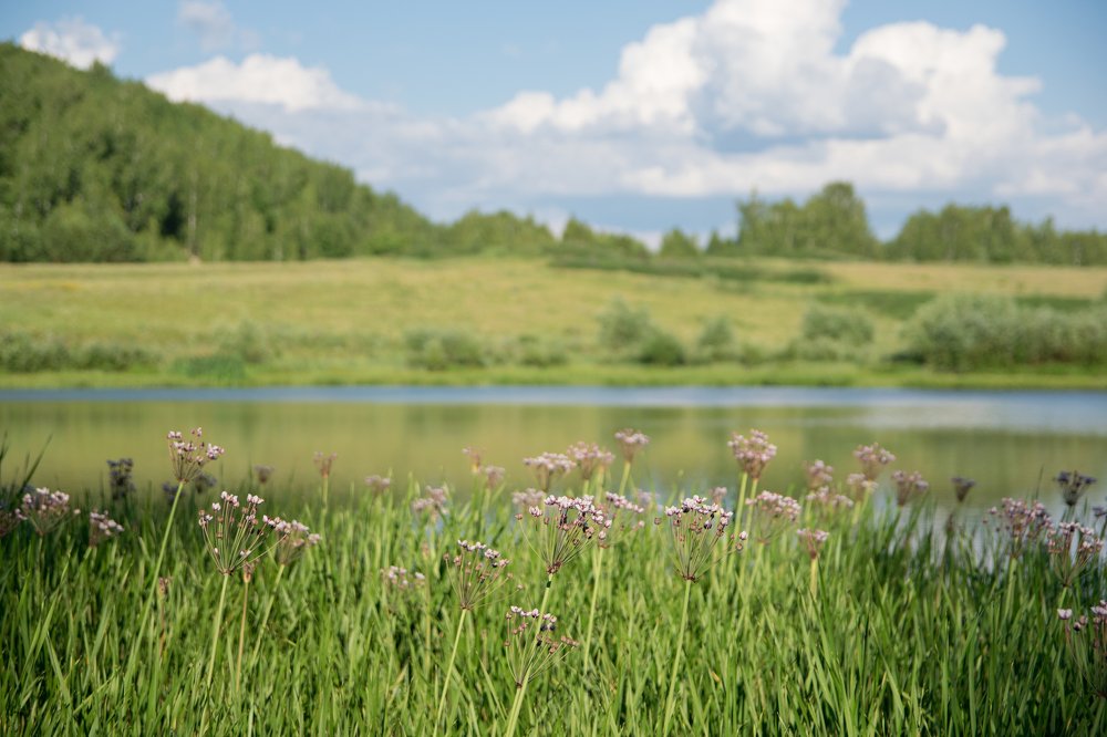 Photograph by Юля Курдова