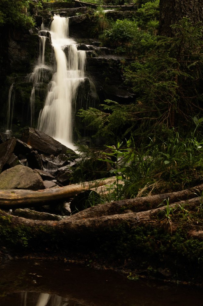 In the World of the Fae Folk