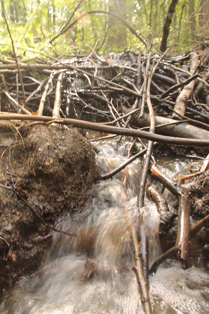 Photograph by Игорь Улитин