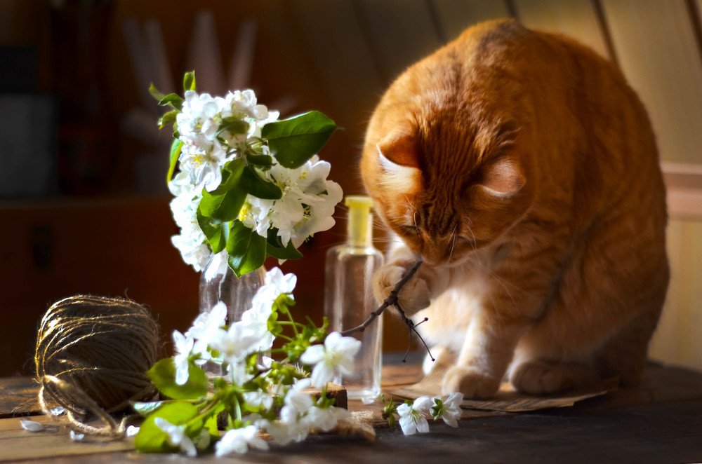 Игра с весной