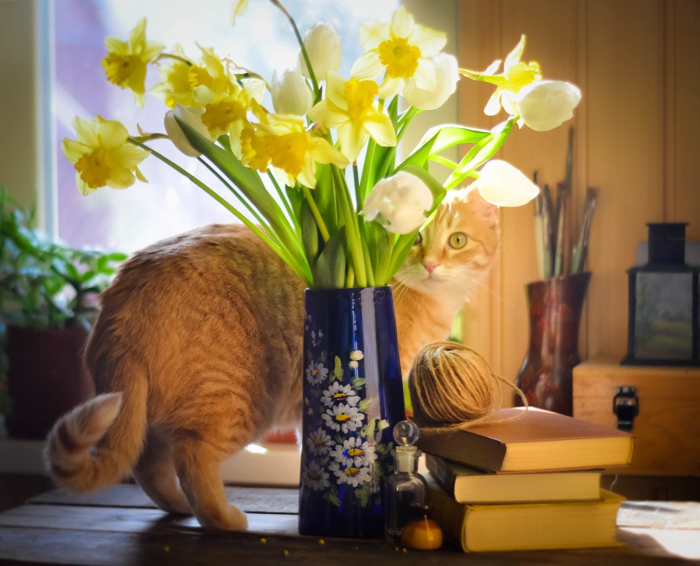 Ку-ку весна