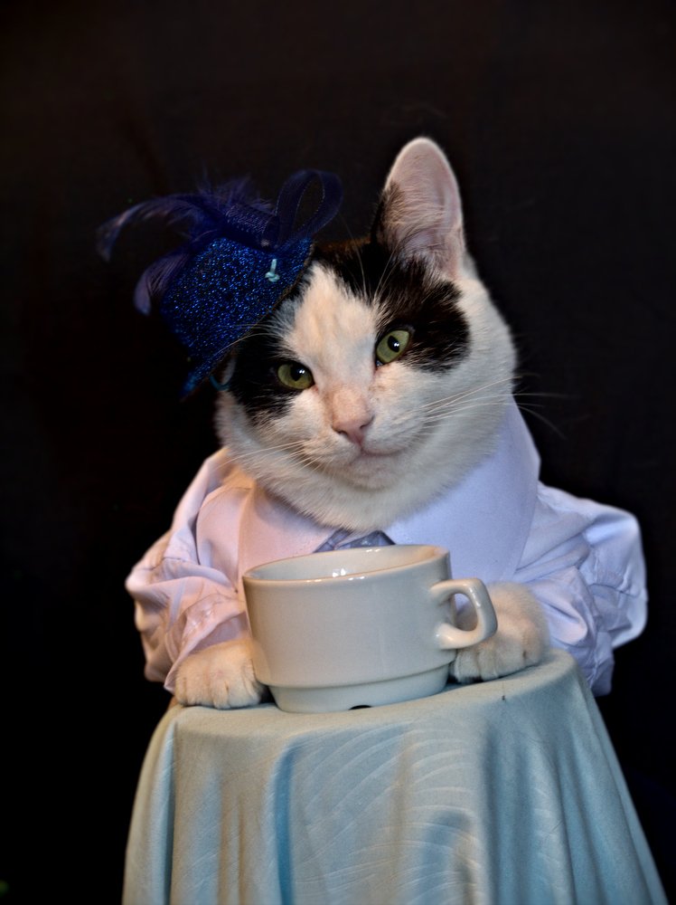 Эй, Бармен, плесни ещё немного молока!