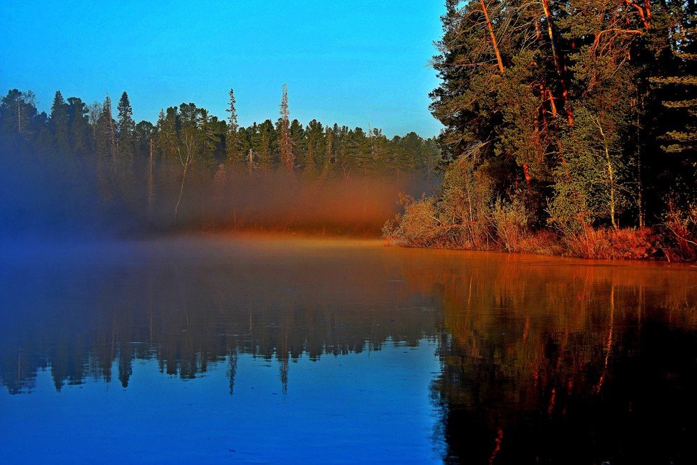 Каждый охотник желает знать