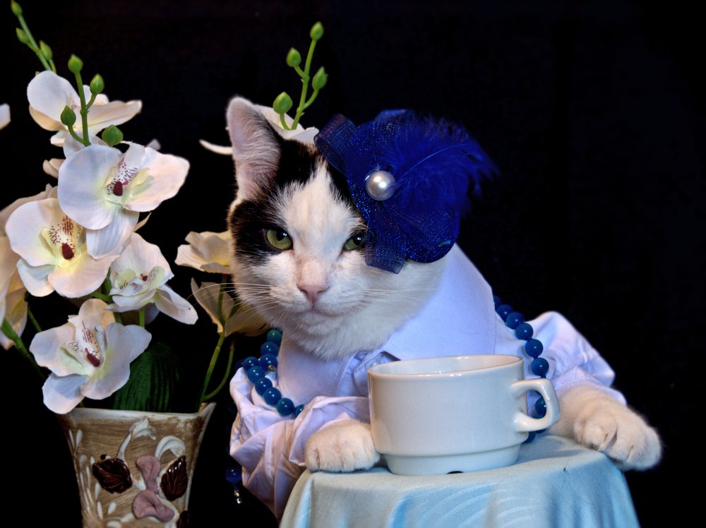 Когда, увидел обалденную кошечку за соседним столиком.