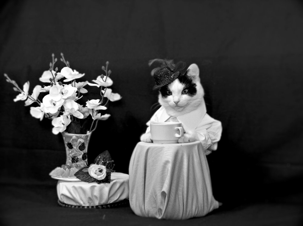 На приёме у Королевы.