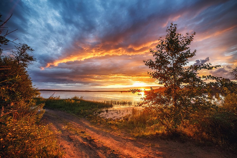 Фотография автора Татьяна Афиногенова