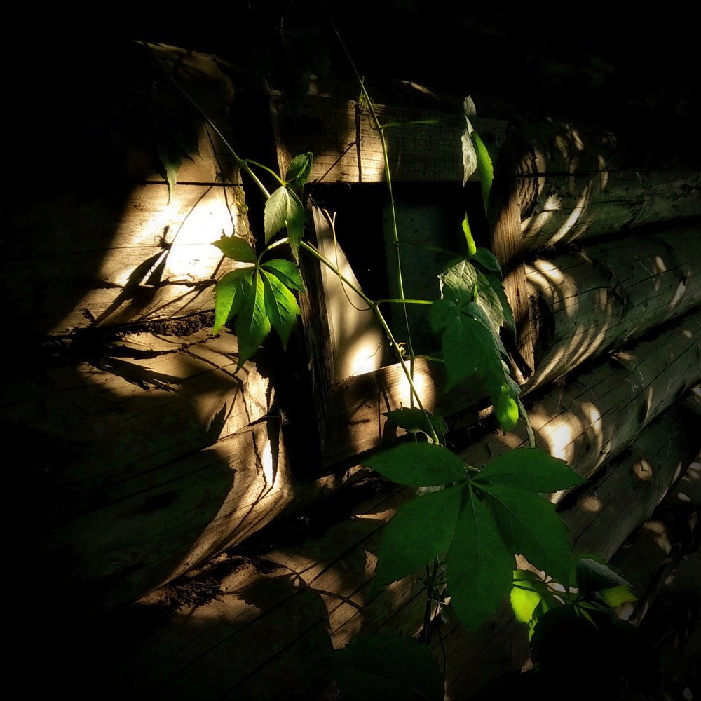 Shades and highlights