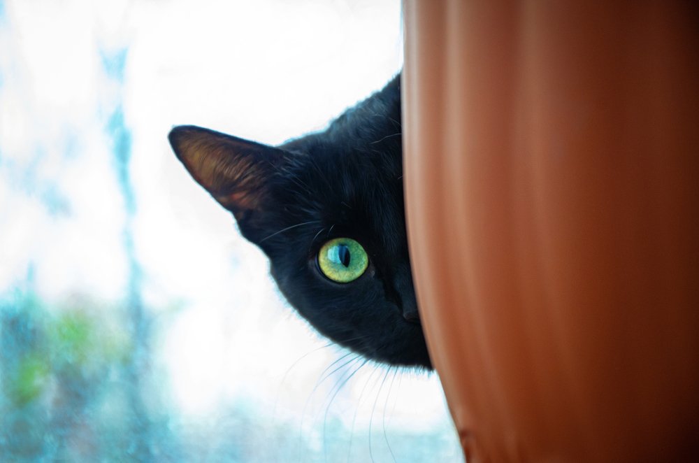 Photograph by Михаил Kolesnik