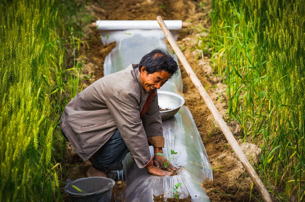 Трудолюбие
