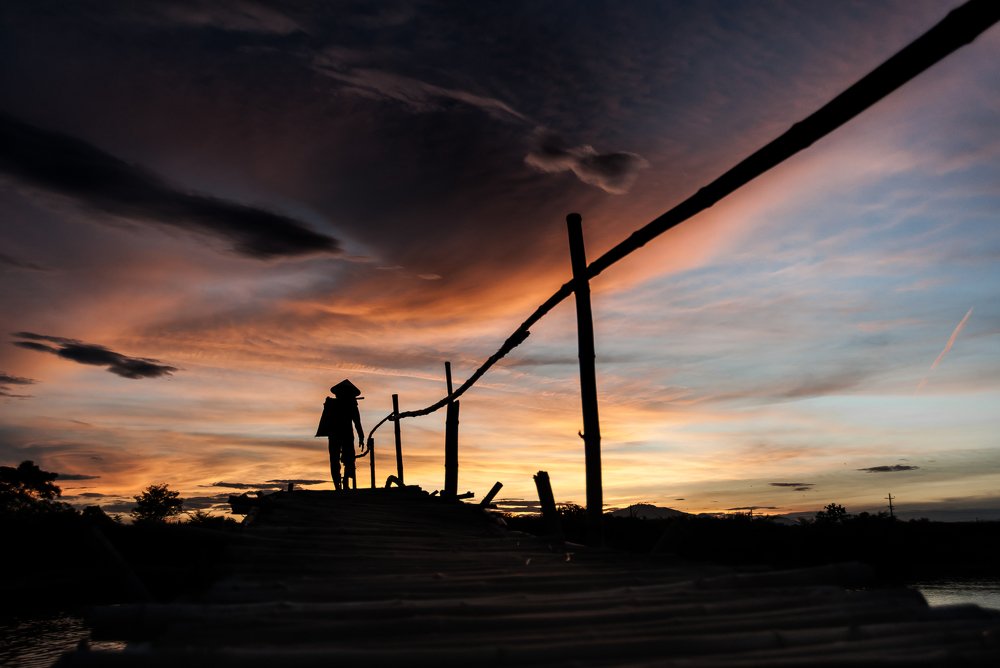 return to the sunshine