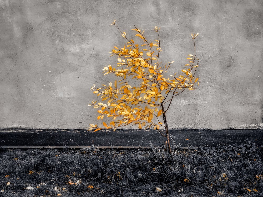 Photograph by Сергей Забиякин