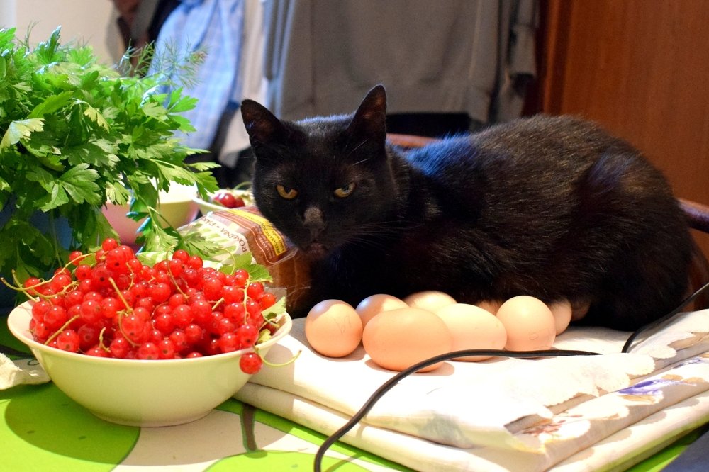 Nobel Prize for Biology